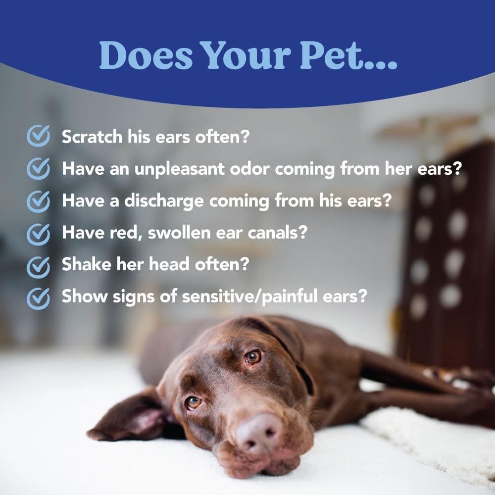 ANGELS EYES Zinco-Ótico (30ml) | Tratamento Otite e Infecção de Ouvido Cães e Gatos - Imagem 2